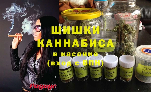 МДПВ Мегион