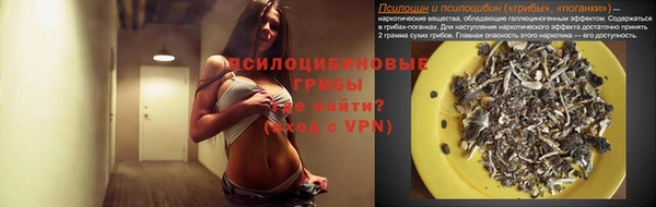 МДПВ Мегион